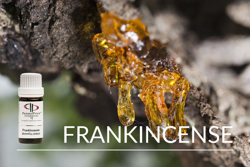 Essential Oil: Frankincense - Cloud 9 Naturally
