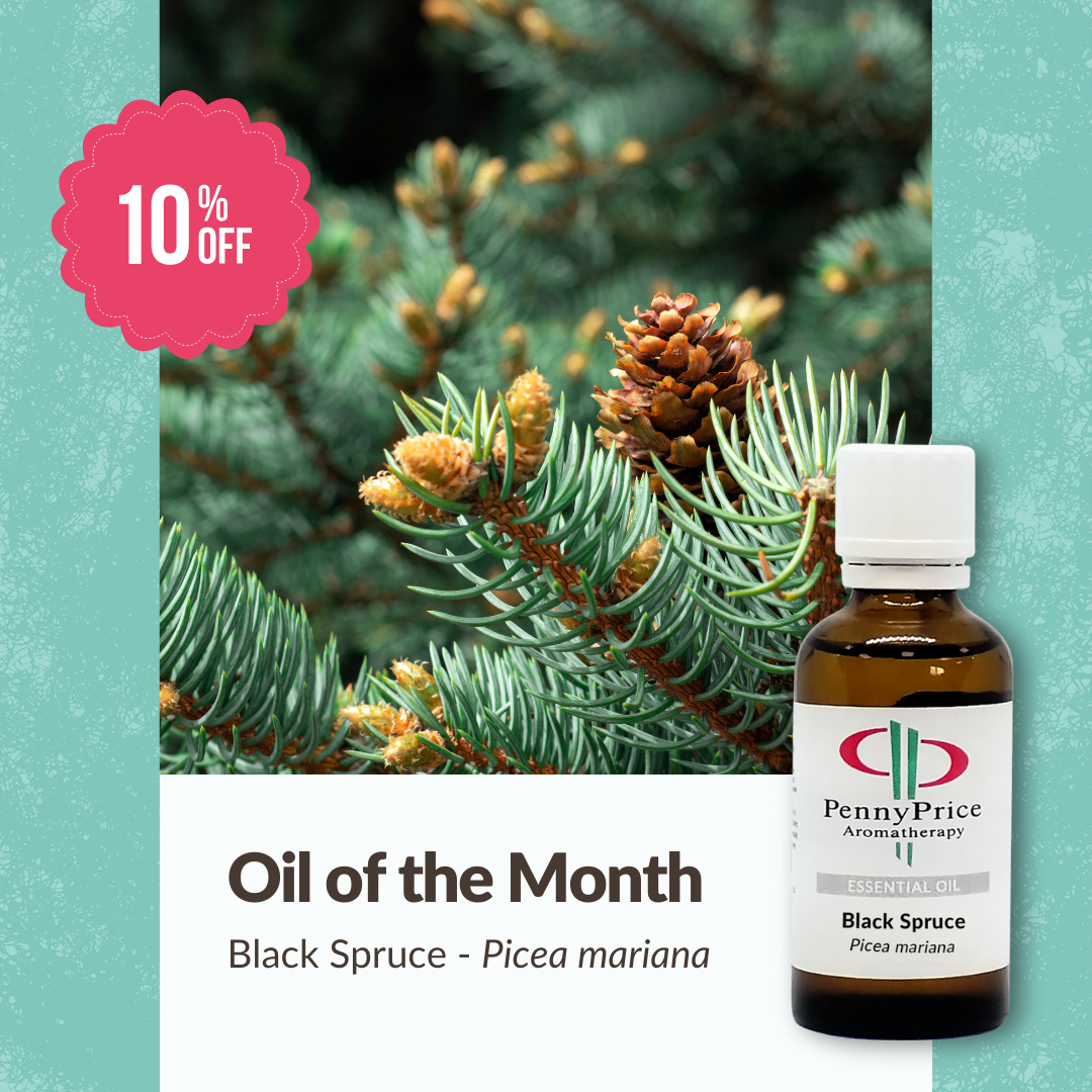 Black Spruce Essential Oil